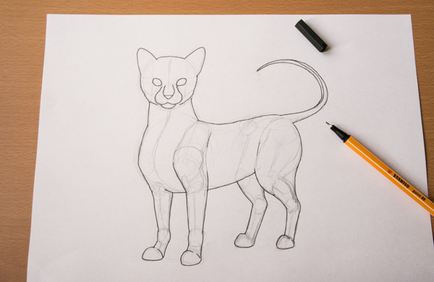 Як малювати тварин швидко зображуємо шерсть
