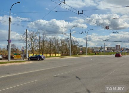 Як скласти іспит в ДАІ з першого разу розповідають профі -блог