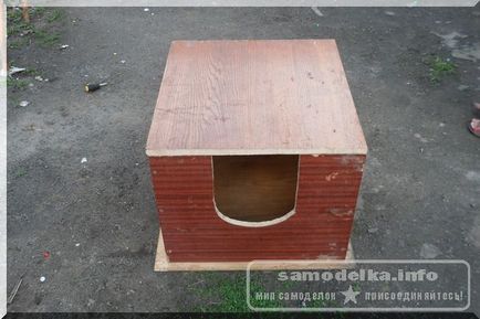 Cum sa faci o casa pentru un caine cu propriile tale maini din PAL sau placaj din lemn