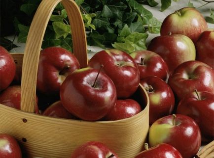Cum să păstreze recolta de mere