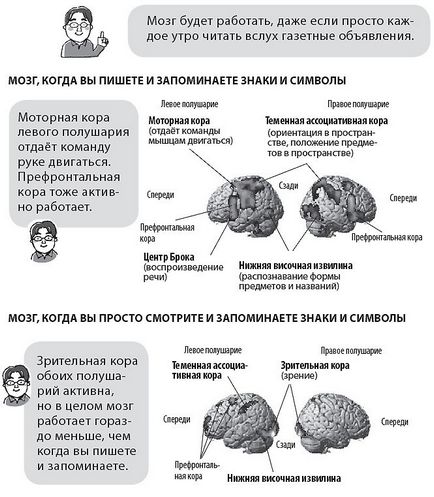 Як тренувати мозок, щоб порозумнішати