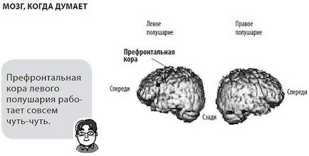 Cum de a instrui creierul să crească mai înțelept