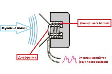 Як вибрати і налаштувати мікрофон характеристики, вбудований, настройка онлайн