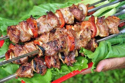 Cum să murăm kebab shish din carne de porc și de pui - top 10 retete