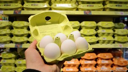 Cum au ajuns ouăle infectate în magazinele europene, știrile și analizele Europei și europenilor, dw