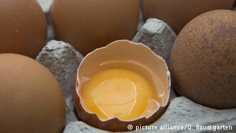 Як заражені яйця потрапили в європейські магазини, європа і європейці новини та аналітика, dw