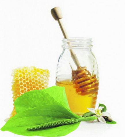 Kalanchoe cu rețete de miere