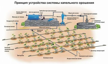 Крапельний полив тільки вітчизняного виробництва!