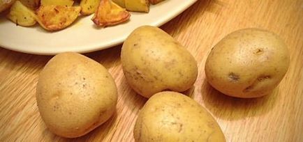 Картопля найврожайніший Підмосков'ї