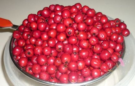 Hogy galagonya, tinktúrák, előnyei és hátrányai száz tippek (tinktúra) Hogy galagonya, tinktúrák, előnyei és hátrányai száz tippek
