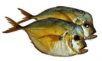 Копчена риба рецепти з фото і способи приготування в домашніх умовах