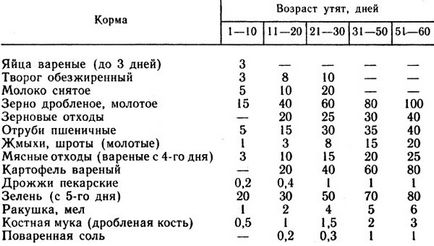 Годівля та утримання каченят в перші 3 тижні життя, домашня ферма