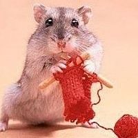Cat Secret - tricotat pentru hamsteri