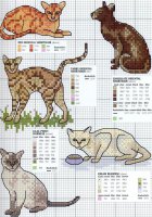 Pisici - pagina 5, modele gratuite de cusaturi