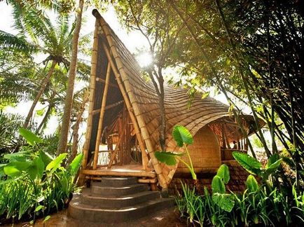 Gyönyörű házak bambusz földi paradicsom (fotók) Dream House