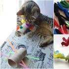 Idei creative despre cum să faci o casă pentru o pisică cu propriile mâini