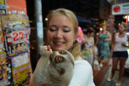 Lemur Pattaya! A találkozó a szép állat!