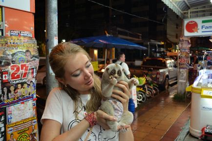 Lemur în Pattaya! Întâlnirea noastră cu acest animal minunat!