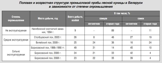 Лісова куниця