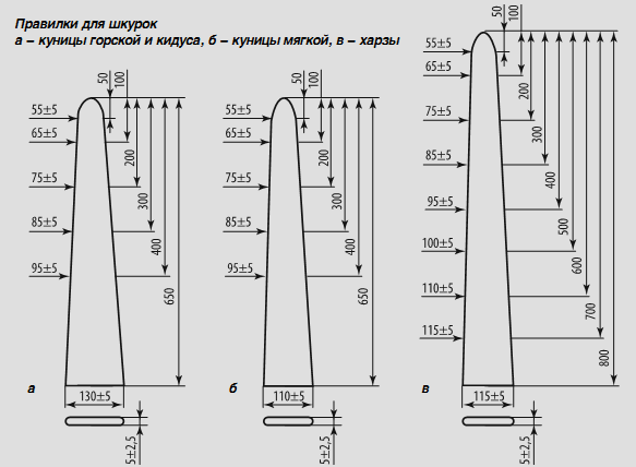 Лісова куниця