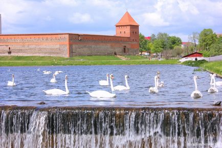 Людський замок (замок Гедиміна), Ліда