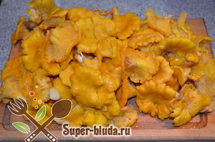 Chanterelles prajit, cum să gătească chanterelles în smântână, garnitura