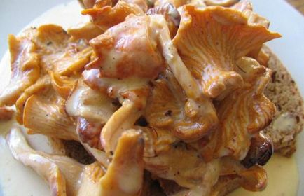 Fried chanterelles tejfölös egy serpenyőben recept egy fotó