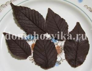 Frunze de gatit cu ciocolata-reteta cu fotografie (decoratiuni pe tort de ciocolata) Frunze de ciocolată - rețetă cu fotografie