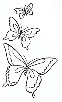 Майстер-клас - шоколадні метелики шаблони