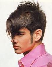 Ápolás kanadai 25 fotó és lépésről lépésre végrehajtása berendezések (haircut) Ápolás kanadai 25 fotó és lépésről lépésre végrehajtása gépek
