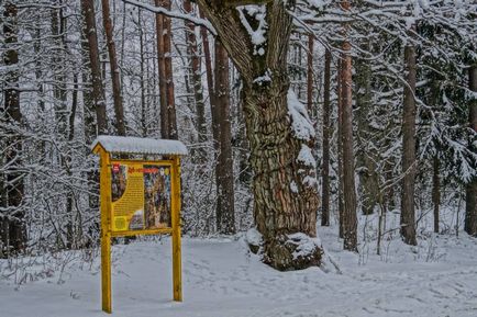 Parcul Național Belovezhskaya Pushcha prețurile, fotografiile și o mulțime de informații utile