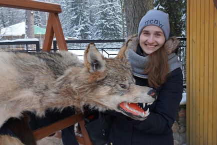 Parcul Național Belovezhskaya Pushcha prețurile, fotografiile și o mulțime de informații utile