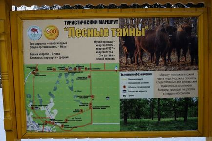 Nemzeti Park Bialowieza erdő árak, fotók és sok hasznos információt a (nemzeti) Nemzeti Park Bialowieza erdő árak, fotók és sok hasznos információval