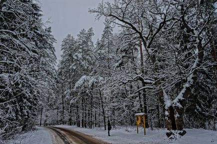 Parcul Național Belovezhskaya Pushcha prețurile, fotografiile și o mulțime de informații utile