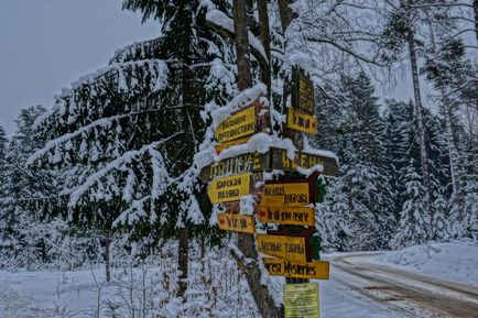 Parcul Național Belovezhskaya Pushcha prețurile, fotografiile și o mulțime de informații utile