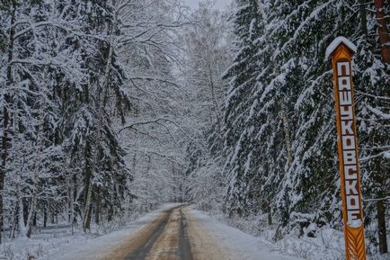 Parcul Național Belovezhskaya Pushcha prețurile, fotografiile și o mulțime de informații utile