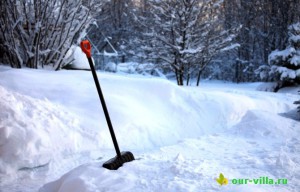 Izolație naturală pentru plante - este zăpadă