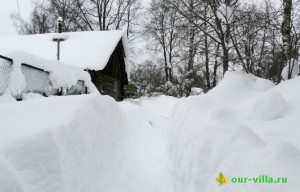 Натуральний утеплювач для рослин - це сніг