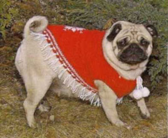Recomandări generale pentru tricotat un poncho pentru un câine de tricotat pentru câini și pisici, pulovere, pulovere, pături