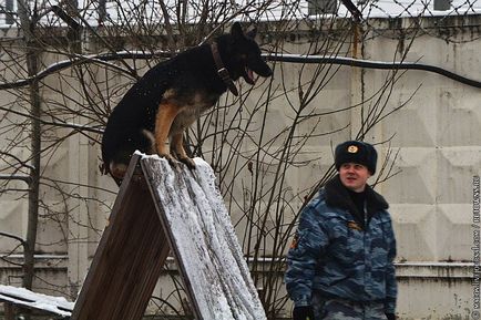 Один день з життя ОМОНу, фото новини