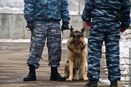 Один день з життя ОМОНу, фото новини