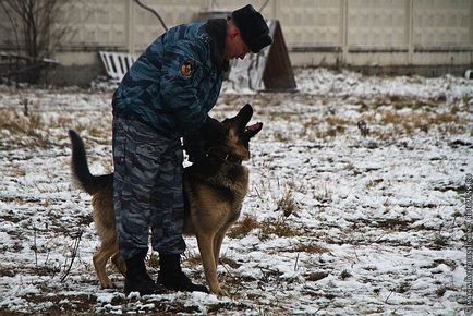 Один день з життя ОМОНу, фото новини