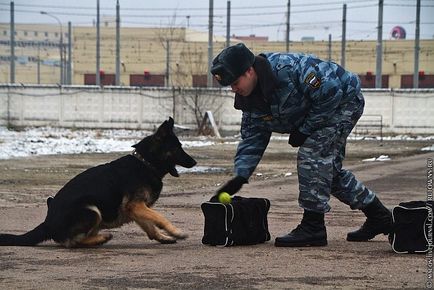 Один день з життя ОМОНу, фото новини