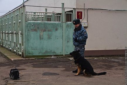 Один день з життя ОМОНу, фото новини