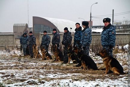 Один день з життя ОМОНу, фото новини