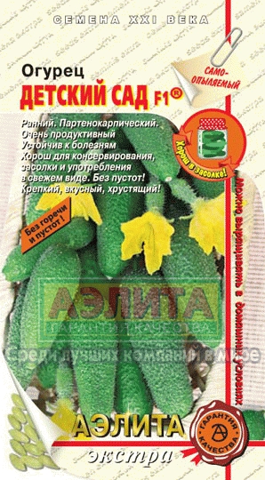 Огірок дитячий сад f1 купити насіння огірків оптом оптом і в роздріб від виробника