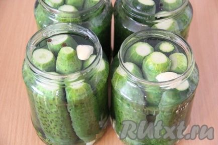 Огірки, мариновані з горілкою, на зиму - рецепт з фото