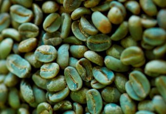 Uleiul organic de cafea verde