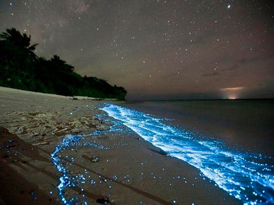 Puerto Rico insula caribbeană - fotografie, atracții turistice