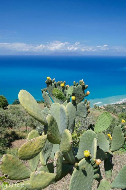 Vacanțe cu copii în Sicilia cele mai strălucite emoții și marea caldă